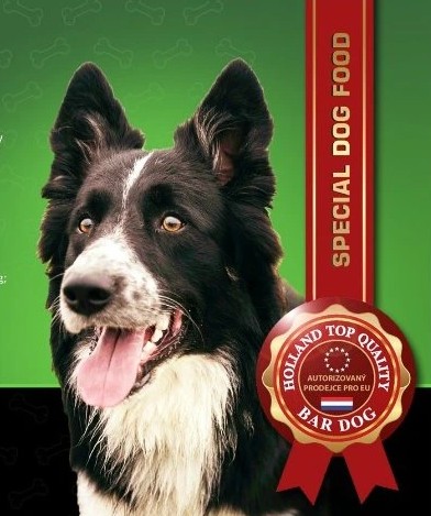 Důležitost kvalitního krmiva pro psy