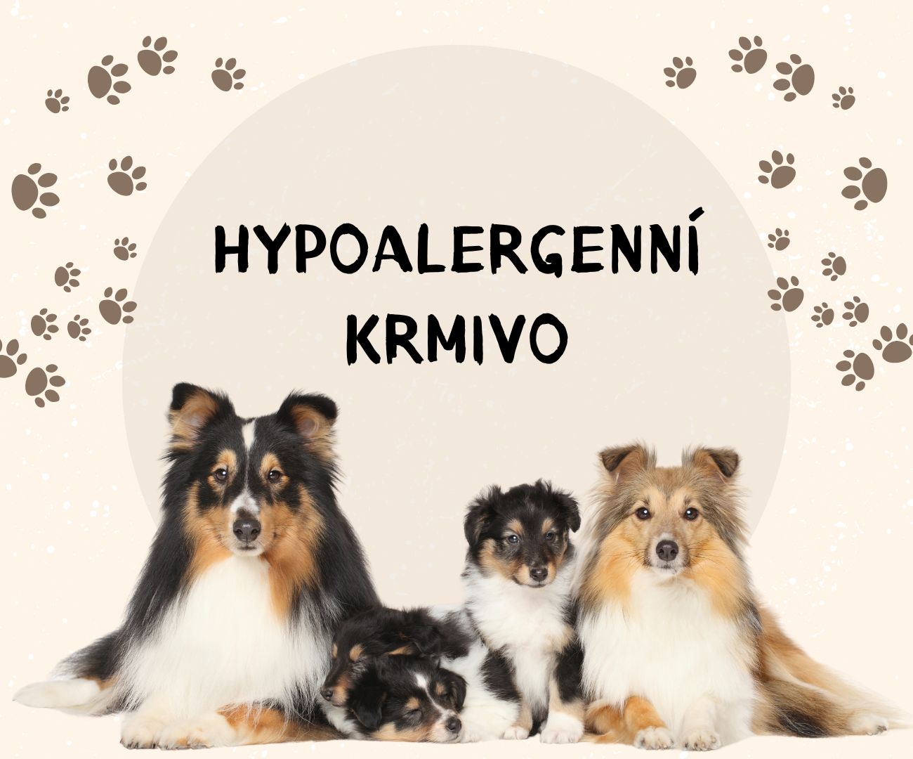 hypoalergení krmivo