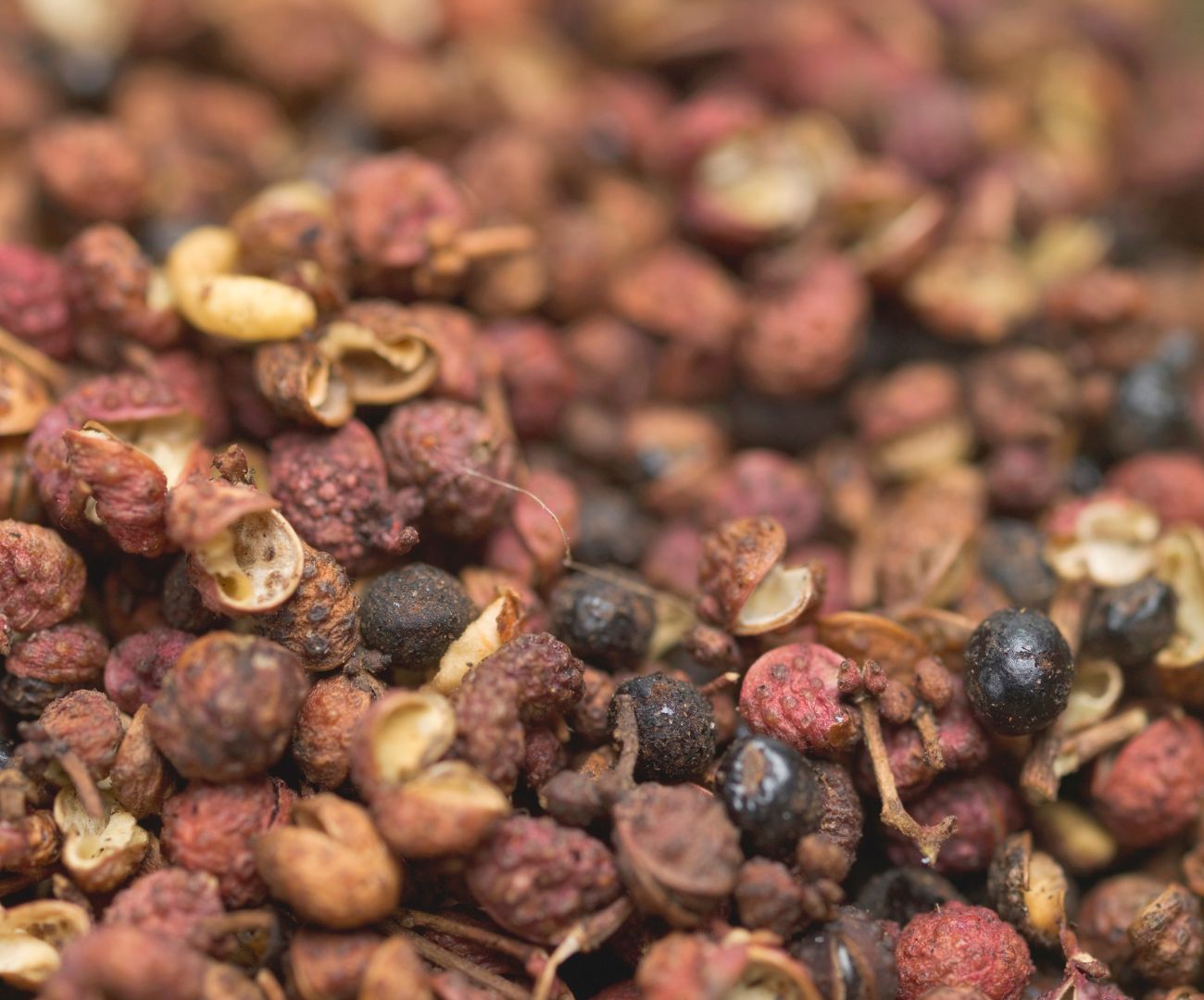 Směsi koření: Tajemství dokonalé chuti v kuchyni