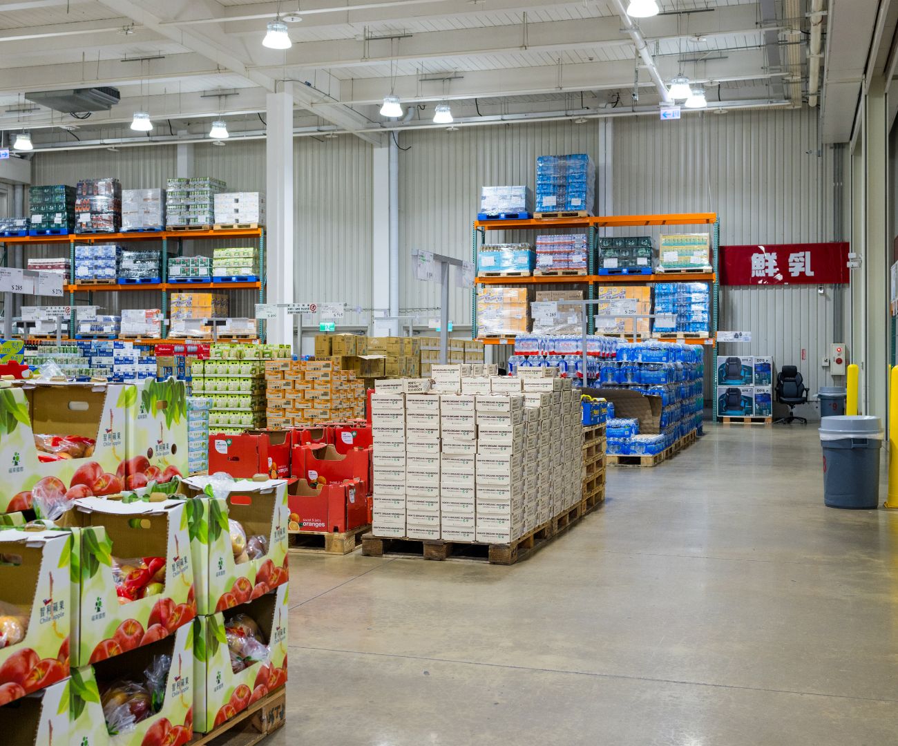 Zelené pivo – Prodej, historie a kde ho koupit v roce 2025