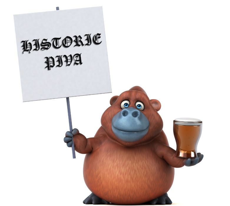 HISTORIE PIWA