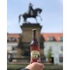 Poděbradský Zdroj Rádl Pomeranč - grep - 1L PET