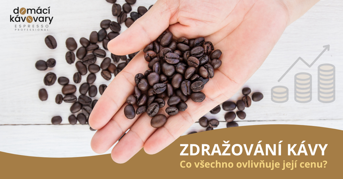 Zdražování kávy pod lupou: co všechno ovlivňuje její cenu?