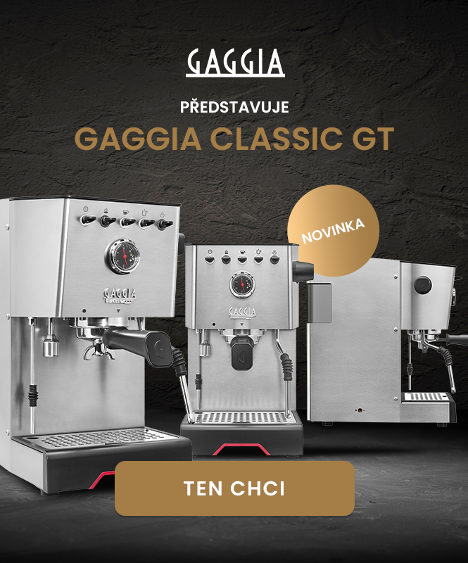 Gaggia Classic GT