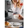 New Classic Gaggia1817