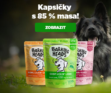 LEFT SIDEBARLEFT SIDEBAR Barking heads