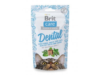 brit crae snack dental