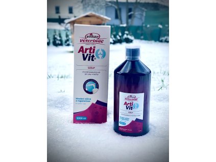 ArtiVit sirup 1000+DentON+bag