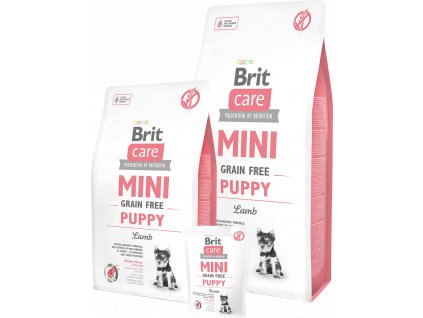 britcaremini puppy