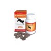 Arthronis Acute Mini - 60 tbl