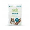 dental01