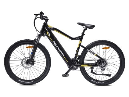 MS ENERGY eBike m10
