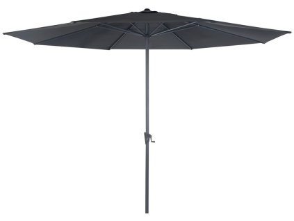 slunecnik roja standard 4 m 1