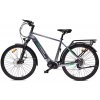 MS ENERGY eBike c101
