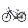 MS ENERGY eBike c11