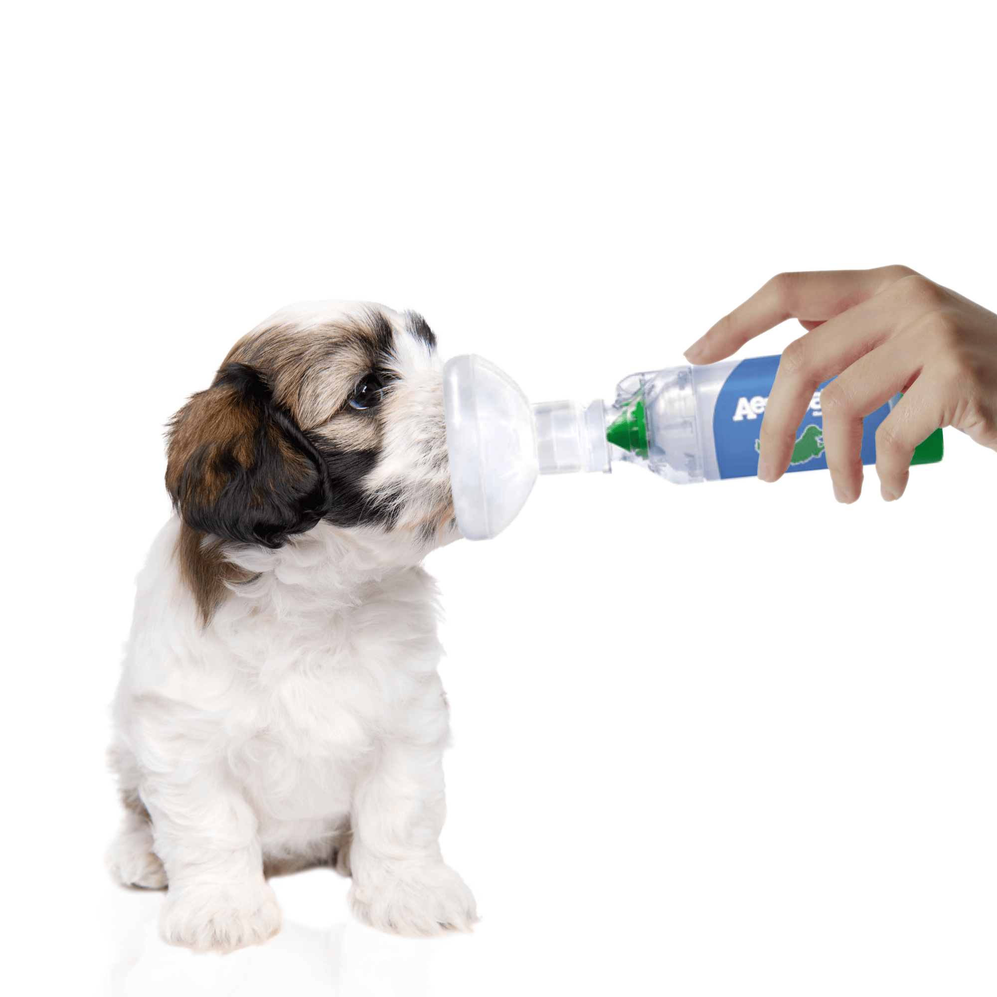 Snadný návod použití inhalační masky AeroDawg®