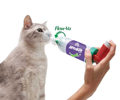 Snadný návod použití inhalační masky AeroKat®