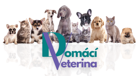 E-shop Domácí veterina je spuštěn