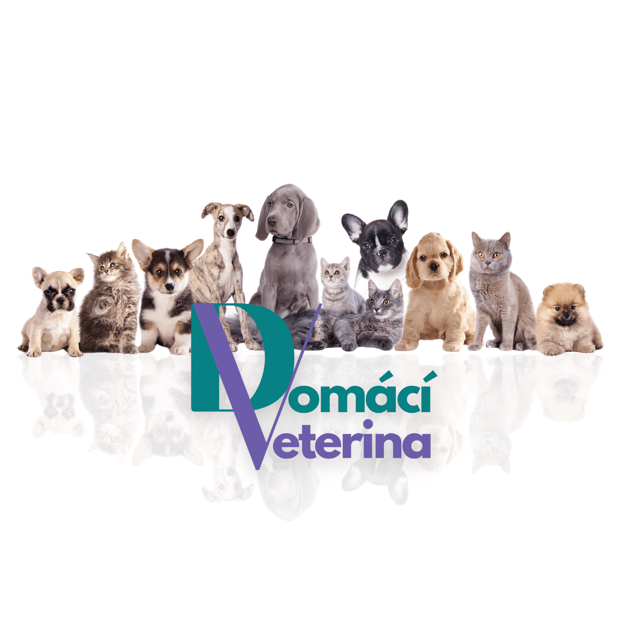 E-shop DomaciVeterina.cz je spuštěn