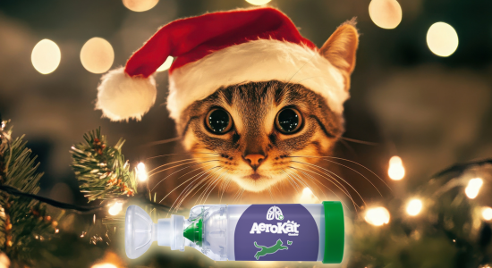 Provozní doba a expedice objednávek během Vánoc 2025