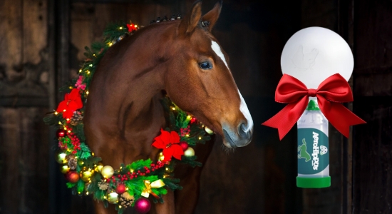 Vánoce z pohledu mazlíčků