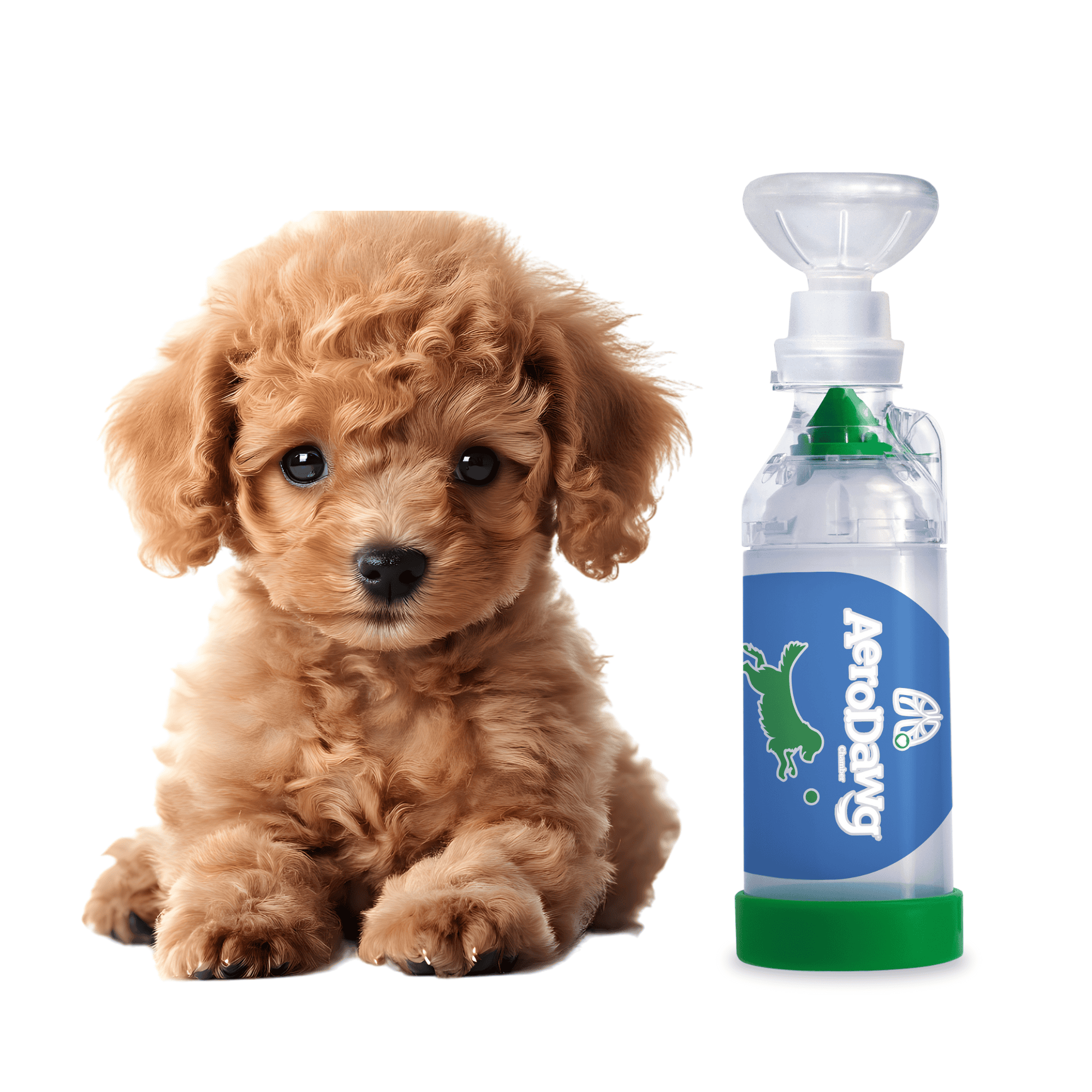 Štěně a inhalátor s komorou – praktická ukázka