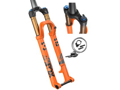 fox fotka oranzova