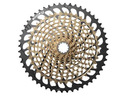 002418167001CS XG1299 EAGLE DRIVETRAIN 10 52T GLD