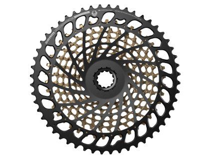 002418167001CS XG1299 EAGLE DRIVETRAIN 10 52T GLD BACK