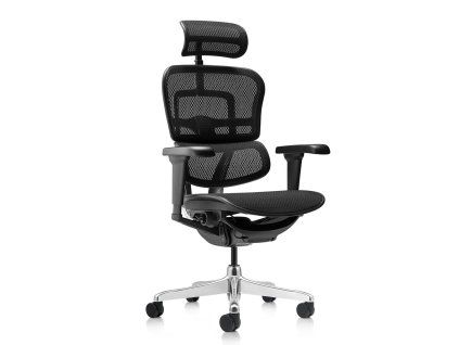 ERGOHUMAN Mesh II 2a
