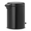 Pedal Bin newIcon, Recycle 2x2L Matt Black 8710755280405 Brabantia 96dpi 1000x1000px 7 NR 21587