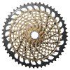 002418167001CS XG1299 EAGLE DRIVETRAIN 10 52T GLD