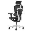 ERGOHUMAN Mesh II 4b