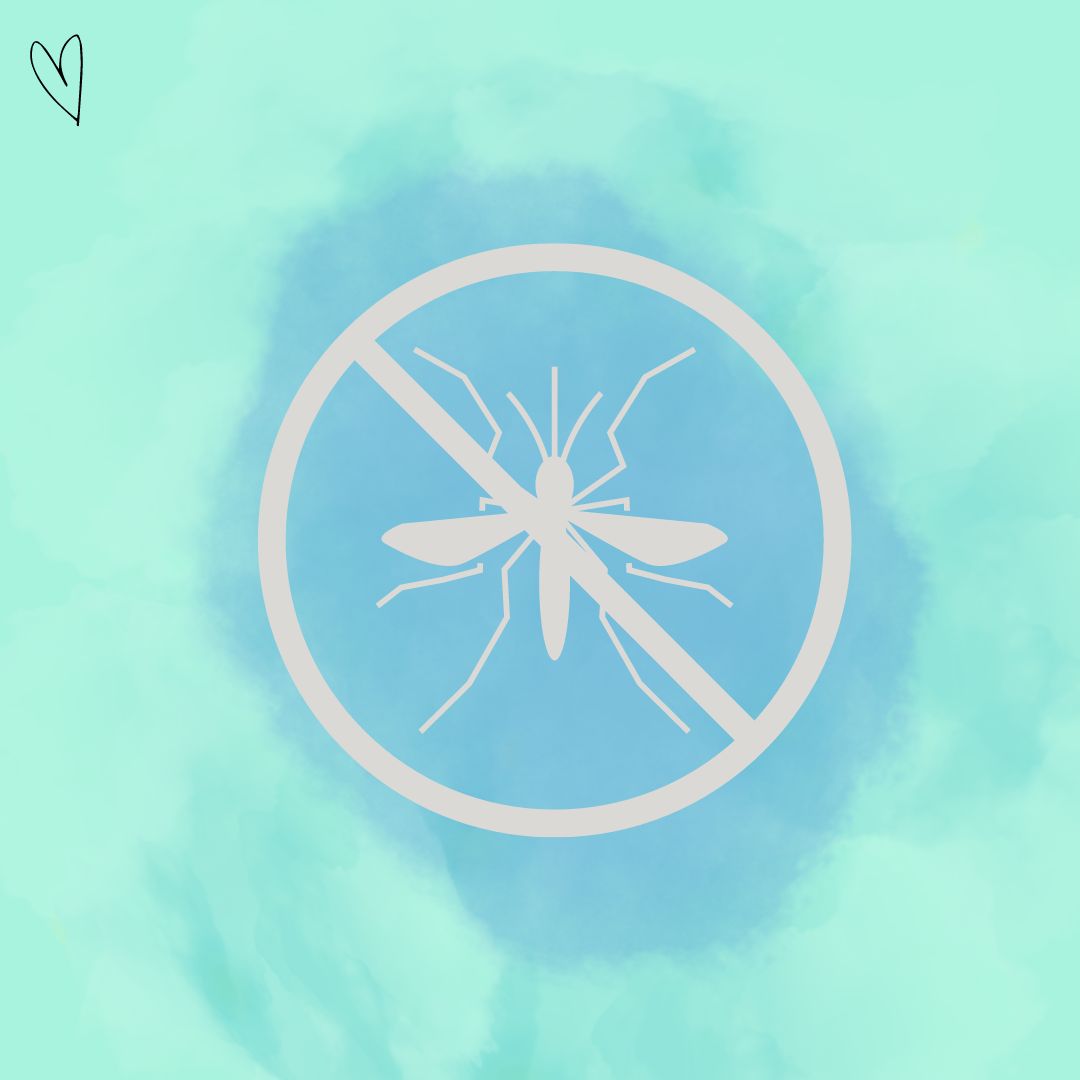 Léto láká do našich domovů nezvané návštěvníky, jak na ně?