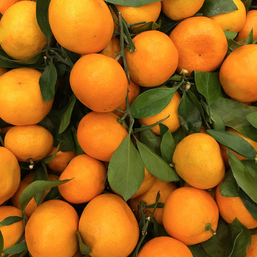 Mandarinetto – příprava likéru