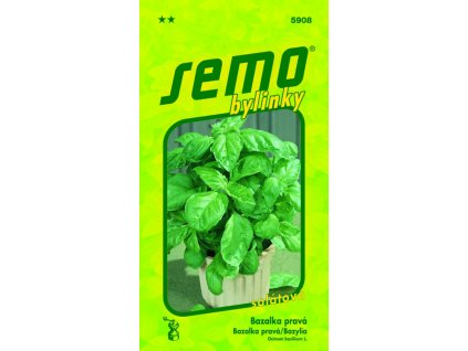 Bazalka pravá - Lettuce Leaf (salátová) 1g