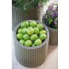 KETER Kvetináč Cylinder Planter M - Silver grey