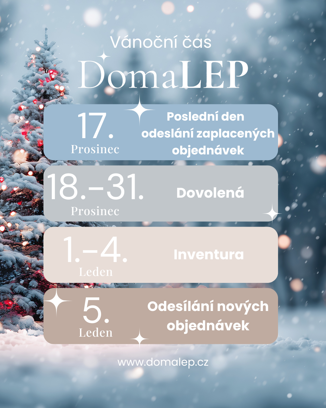 Vánoční čas v DomaLEP
