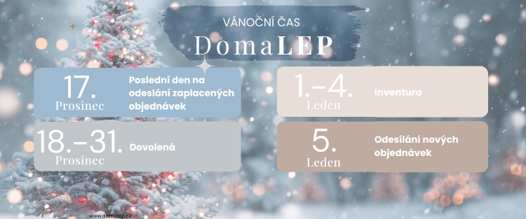 Vánoční čas v DomaLEP