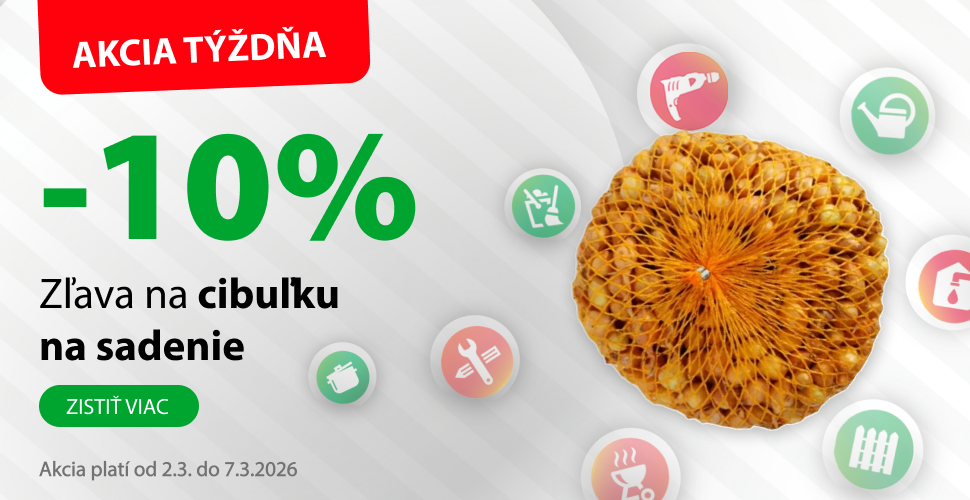 cibulky_web