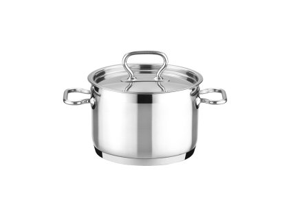 19800 tescoma hrniec home profi s pokrievkou 20 cm 4 0l