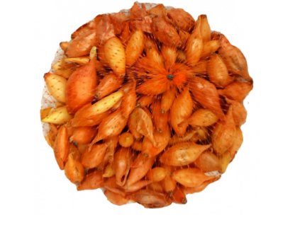 Cibuľka sadzačka Všetana žltá podlhovastá, 10-21 mm, 500 g