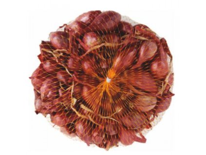 28329 cibulka sadzacka cervena red baron 8 16 mm 250 g