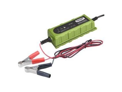 6747 autonabijacka udrziavacia inteligentna 6 12v 1a ip65 extol 417301