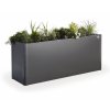 65922 Pflanzbeet Belvedere M dunkelgrau met mit Pflanzen Studio