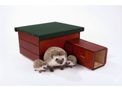 Domeček pro ježka s nátěrem: teak