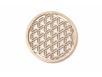 521A30C0 6A24 4121 9B8A A557DC43F7DE