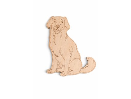 C02A2948 7744 4545 B77C 3B6FC42B6C0A