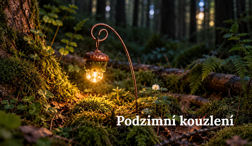 Lucernička ze žaludu v lese