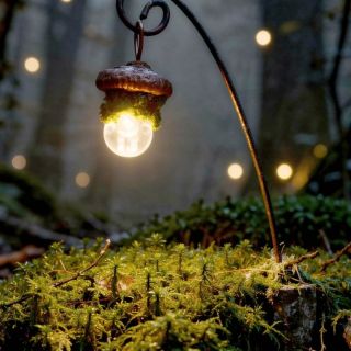 #miniature #lantern #magicforest #fairyfotest #lucernicky